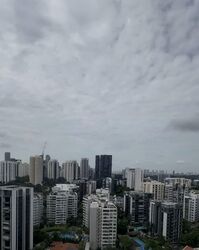 Perfect Ten (D10), Apartment #589271131